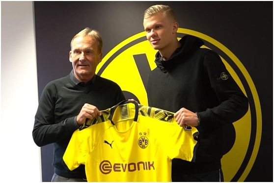 打野承担更 打野承担更